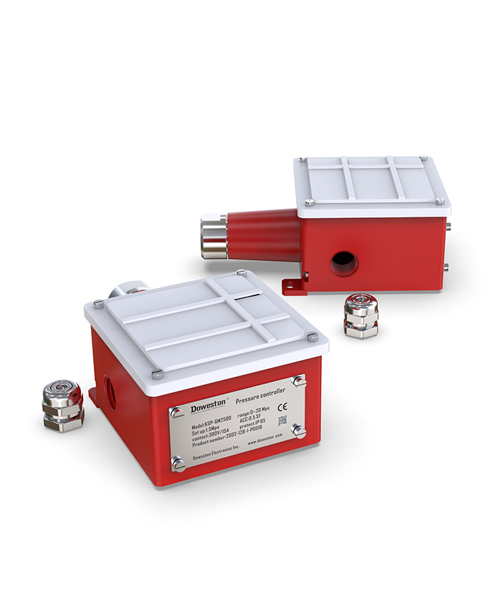 PSP-20 Series Standard Industrial Pressure Switch - Product Detail 2 - DOWESTON