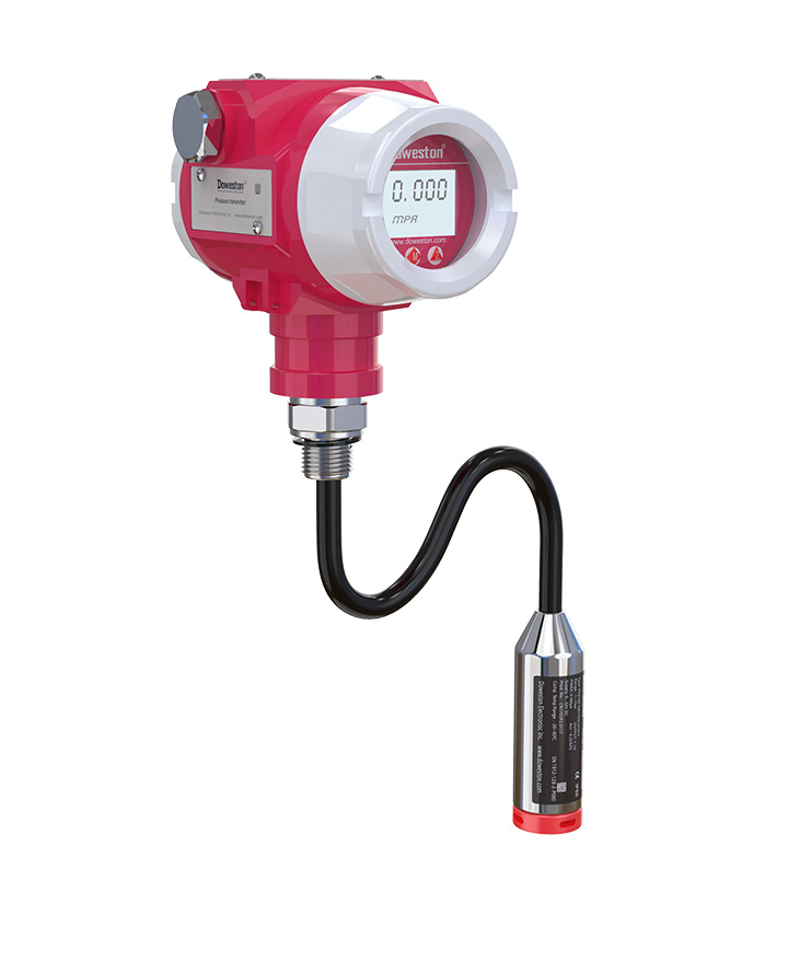 LPD-310A Series Digital Submersible Level Transmitter - Product Detail 3 - DOWESTON