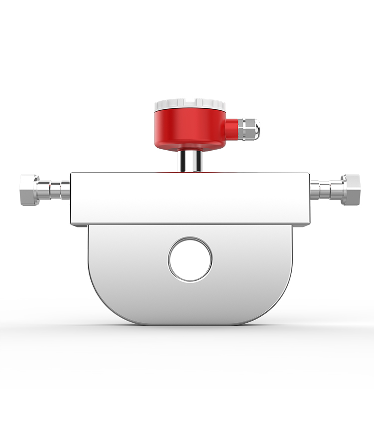 FTM-1660R Batch Filling Coriolis Mass Flow Meter - Product Detail 2 - DOWESTON