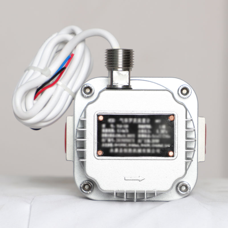YLQ-40 Vapor Recovery Flow Meter - Product Detail 2 - DOWESTON