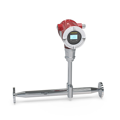 FTW-1600Q Series Sanitary Gas Mass Flow Meter - Product Detail 4 - DOWESTON