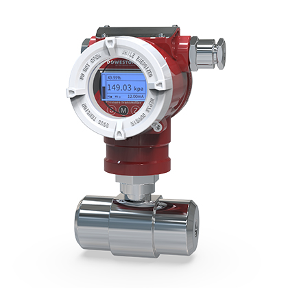 PD750W Series Clamp-Free Pressure Transmitter - Product Detail 3 - DOWESTON