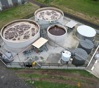 Sludge concentration and flow rate